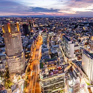 5* Hotel Cerulean Tower Tokyu
